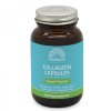 Collagen Peptan Type II 60 капсули | Mattisson Healthstyle