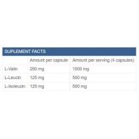 BCAA ProMaxx 2:1:1 - 240 капсули