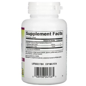 Black Elderberry (стандартизиран екстракт) 100 мг 60 гел-капсули | Natural Factors