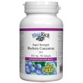 BlueRich Super Strength Blueberry Concentrate 36:1 500 мг 90 гел-капсули | Natural Factors