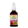 Echinamide Echinacea Fresh Herb Tincture 50 мл | Natural Factors