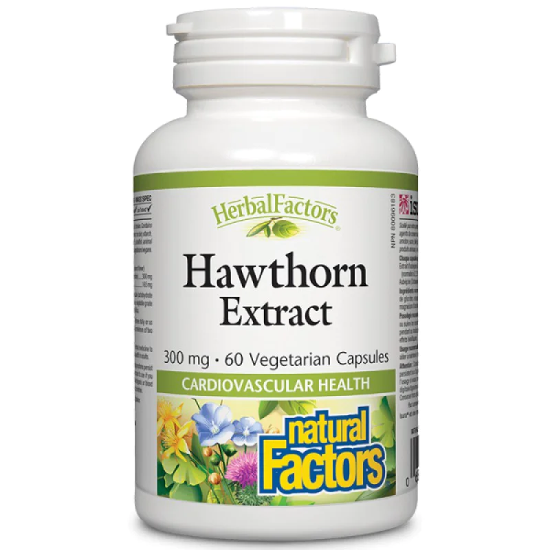 Hawthorn Extract 300 мг 60 веге капсули | Natural Factors Hawthorn Extract 300 мг 60 веге капсули | Natural Factors