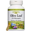 Olive Leaf (15% Oleuropein) 500 мг 90 капсули | Natural Factors