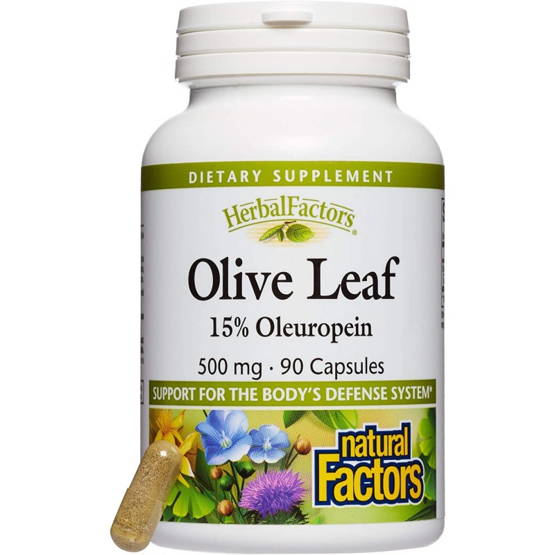 Olive Leaf (15% Oleuropein) 500 мг 90 капсули | Natural Factors