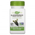 Bladderwrack 580 мг 100 веган капсули | Nature's Way