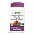 Chaga 480 мг 30 веган капсули | Nature's Way