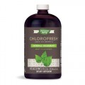 Chlorofresh Liquid Chlorophyll (Mint Flavored) 473 мл | Nature's Way