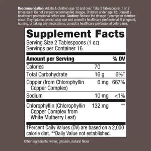 Chlorofresh Liquid Chlorophyll (Mint Flavored) 473 мл | Nature's Way