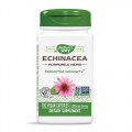 Echinacea (билка) 400 мг 100 веган капсули | Nature's Way