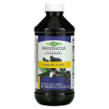 Sambucus Immune Сироп 240 мл | Natures Way Sambucus Immune Сироп 240 мл | Natures WayЗа силна имунна система през цялата година и в пиковите периоди на епидемии
Противовирусно и антибактериално действие
Действа имуномодулиращо – подпомага прена Sambucus Immune Сироп 240 мл | Natures Way За силна имунна система през цялата година и в пиковите периоди на епидемии Противовирусно и антибактериално действие Действа имуномодулиращо – подпо Sambucus Immune Сироп 240 мл | Natures Way За силна имунна сис