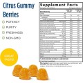Nordic Berries Multivitamin - Боровинка 200 желирани бонбони | Nordic Naturals