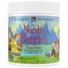 Nordic Berries Multivitamin - Портокал и лимон 120 желирани бонбони | Nordic Naturals