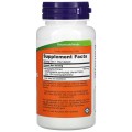 Andrographis Extract 400 мг 90 веге капсули | Now Foods