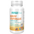 Berry Dophilus 60 дъвчащи таблетки | Now Foods