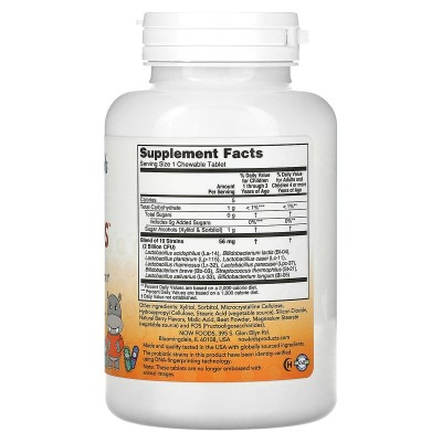 Berry Dophilus 120 дъвчащи таблетки | Now Foods