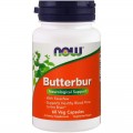 Лечебна Овчарка Butterbur 60 веге капсули | Now Foods