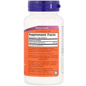 Natural Eggshell Membrane 500 мг 60 веге капсули | Now Foods Natural Eggshell Membrane 500 мг 60 веге капсули | Now Foods