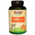 PET L-Lysine Powder (For Cats) 226,8 гр | Now Foods