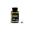 Кости и стави - Цисус (Cissus), 500 mg х 120 капсули