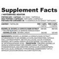 Boswellia 400 mg | Boswellia Serrata Bark Extract - 60 капсули | Nutriversum Boswellia 400 mg | Boswellia Serrata Bark Extract - 60 капсули | Nutriversum