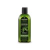 Cannabis Oil Shampoo за всеки тип коса 200 мл | Olivolio