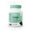 Shilajit 500 mg | 60:1 Extract with 60+% Fulvic Acids - 60 капсули