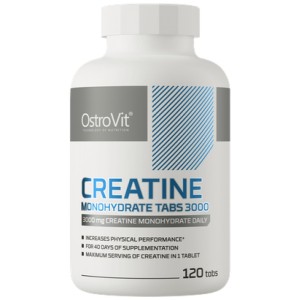 Creatine Micronized Tablets 750 mg - 120 Таблетки | OstroVit