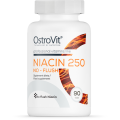 Niacin 250 No-Flush 90 таблетки | OstroVit