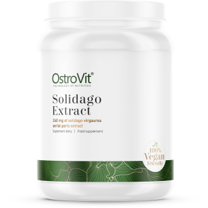 Solidago Extract Powder 100 гр | OstroVit