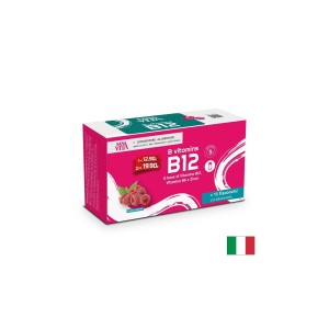 Витамин B12, B6 + Цинк, 15 флакона x 10 ml, с вкус на малина | Paladin Pharma