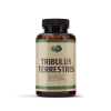 Tribulus Terrestris (Трибулус) 1000 мг 180 таблетки | Pure Nutrition