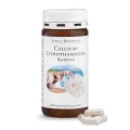 Calcium Lithothamnium (Калций) 120 капсули | Sanct Bernhard Calcium Lithothamnium (Калций) 120 капсули | Sanct BernhardСпомага при изграждането на здрави кости, зъби и нокти
Намалява болката и сковаността при хора, които страдат от остеопороза
Calcium Lithothamnium (Калций) 120 капсули | Sanct Bernhard Спомага при изграждането на здрави кости, зъби и нокти Намалява болката и сковаността при хора, които страдат от остеопороза Запазва костната структ Calcium Lithothamnium (Калций) 120 капсули | S