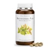 Stinging Nettle Plus 300 таблетки | Sanct Bernhard