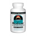 MegaFolinic 800 mcg 120 Tablets | Source Naturals