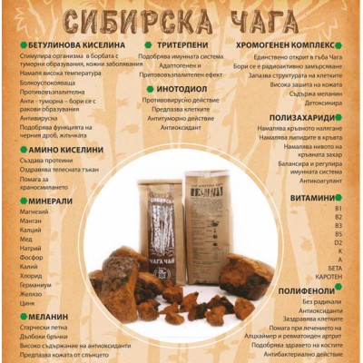 Чага Чай - Филтър 24 пакетчета | Супер Храни 2014 Чага Чай – Филтър 24 пакетчета | Супер Храни 2014Съдържа изсушена Гъба Чага от Сибир, Русия
Има мощен имуностимулиращ ефект
Подобрява здравето на черния дроб
Намалява възпалението и помага при Чага Чай – Филтър 24 пакетчета | Супер Храни 2014 Съдържа изсушена Гъба Чага от Сибир, Русия Има мощен имуностимулиращ ефект Подобрява здравето на черния дроб Намалява възпалението и помага при болки Чага Чай – Филтър 24 пакетчета | Супер Храни 2014 Съдър