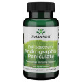 Andrographis Paniculata 400 мг 60 капсули | Swanson