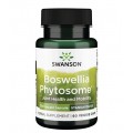 Boswellia Phytosome 300 мг 60 веге капсули | Swanson