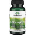 Chlorophyll 90 течни веге капсули | Swanson