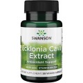 Ecklonia Cava Extract 53 мг 30 веге капсули | Swanson