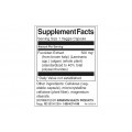 Fucoidan Extract 500 мг 60 вегетариански капсули | Swanson