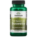Full Spectrum Boswellia Double Strength 60 капсули | Swanson