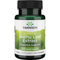 Full Spectrum Buchu Leaf Extract 4:1 100 мг 60 капсули | Swanson