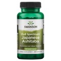 Full Spectrum Japanese Ashitaba 500 мг 60 капсули | Swanson Поддържа здравословна функция на черния дроб и бъбреците Мощен детоксикатор Мощна антиоксидантна закрила на клетките Full Spectrum Japanese Ashit Full Spectrum Japanese Ashitaba 500 мг 60 капсули