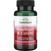 Hawthorn & CoQ10 60 вегетариански капсули | Swanson