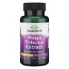 Mega Tribulus Extract 250 мг 60 капсули | Swanson