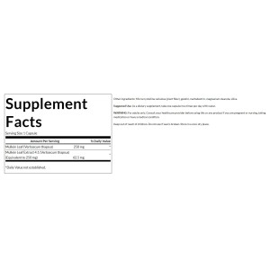 Mullein Leaf Extract 250 мг 60 капсули | Swanson