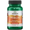 Niacin 100 мг 250 таблетки | Swanson