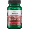 Pantesin Pantethine 60 гел-капсули | Swanson