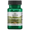 Pycnogenol 50 мг 50 капсули | Swanson
