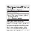 Reishi Mushroom Extract - Standardized 500 мг 90 капсули | Swanson Reishi Mushroom Extract - Standardized 500 мг 90 капсули | Swanson